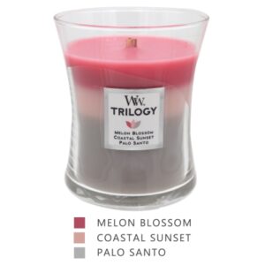 WoodWick TRILOGY Candle